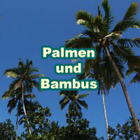 Palmen und Bambus